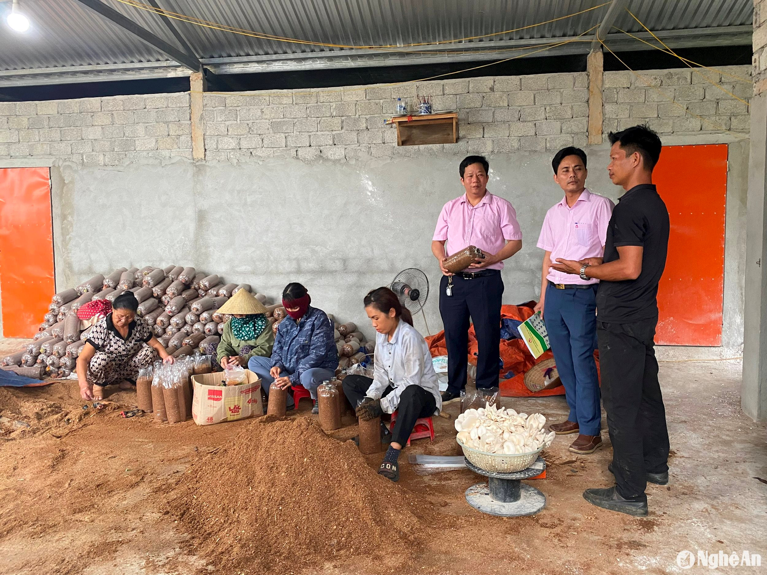 cán bộ ngân hàng chính sách huyện nghĩa đàn thăm mô hình vay vốn trên địa bàn