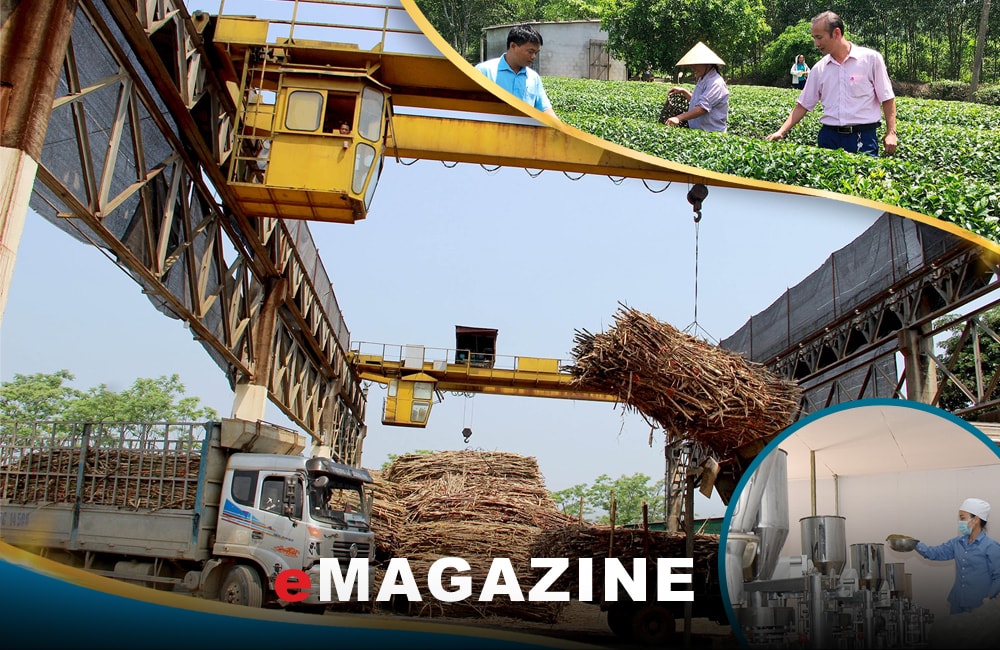 Chế biến nông sản và yêu cầu bức thiết của thực tiễn