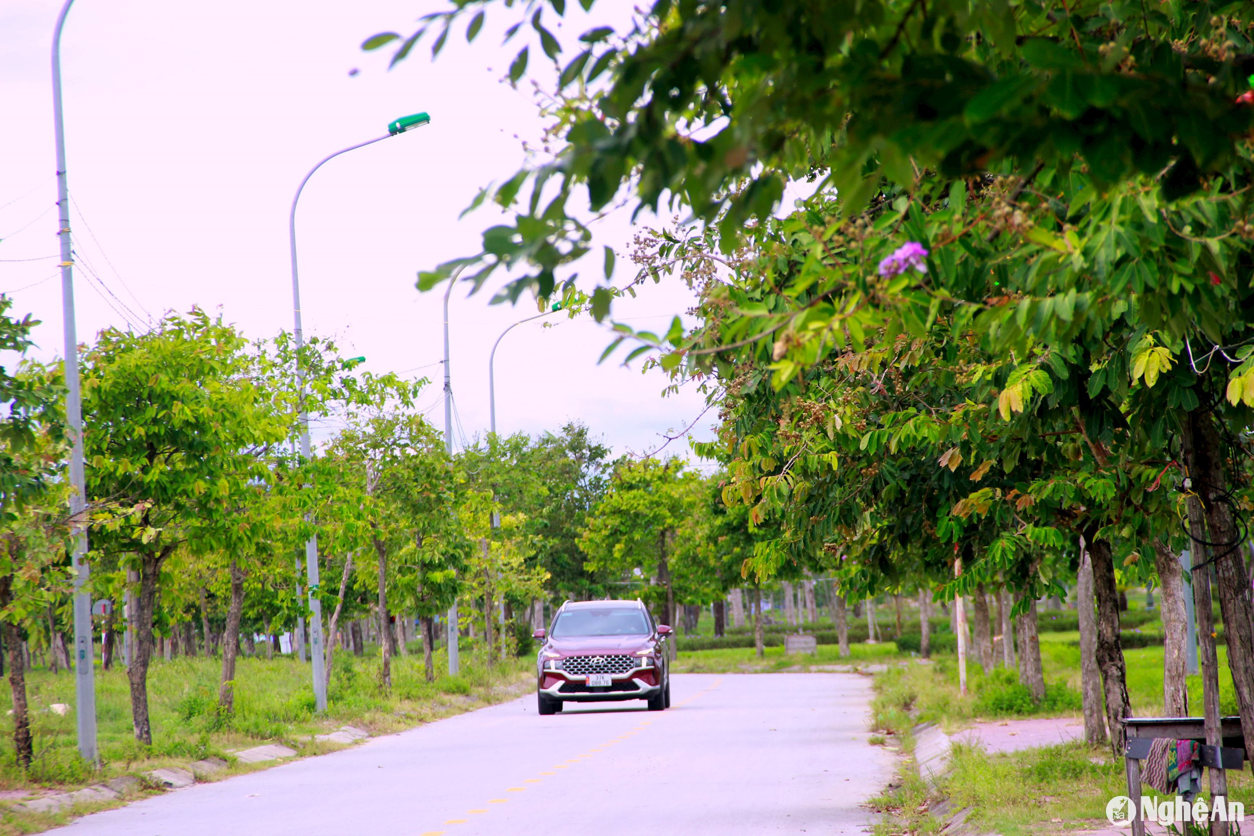 Hàng cây tại hồ điều hòa đã xanh tốt, tạo không gian thoáng đãng, mát mẻ trong ngày hè nóng bức. Ảnh: Quang An