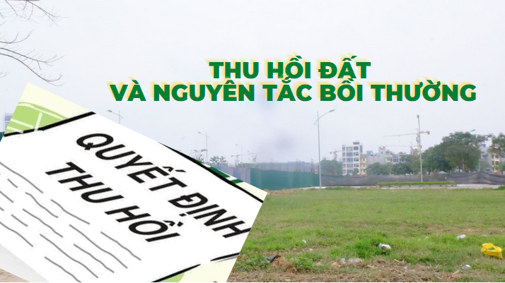 thuhoiboithuongdat.png