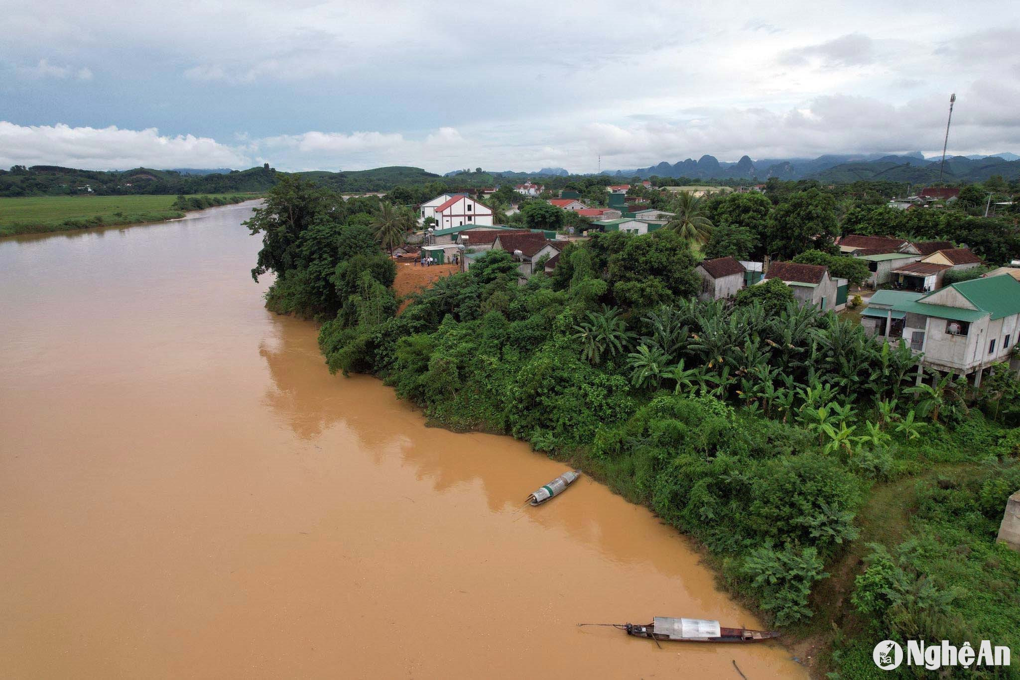  sạt lở bờ sông Lam đoạn qua huyện Anh Sơn. Ảnh- Phú Hương