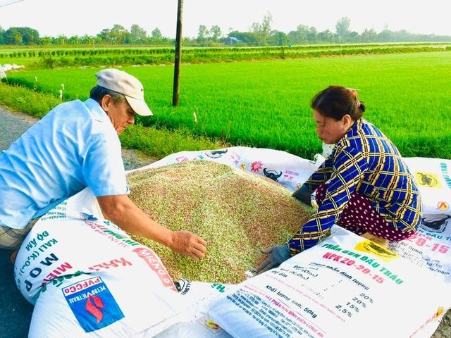 Giá phân bón giảm: Nông dân phấn khởi, doanh nghiệp gặp khó | VTV.VN