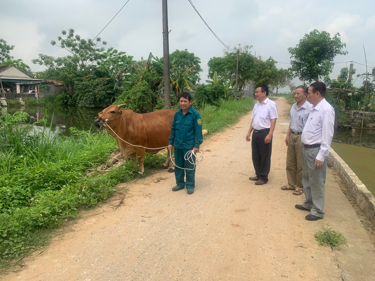 Hỗ trợ bò cho nạn nhân chất độc da cam