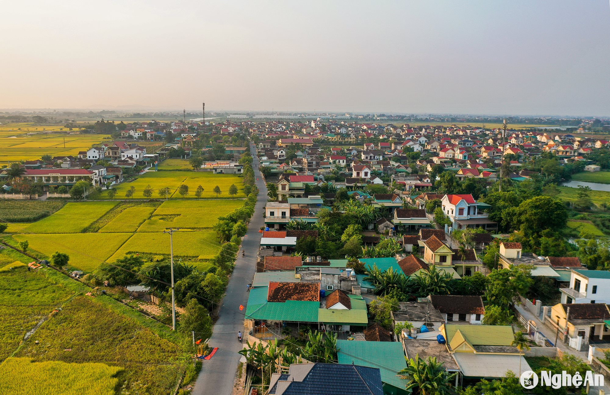 Vẻ đẹp làng quê bình yên. Ảnh: Sách Nguyễn