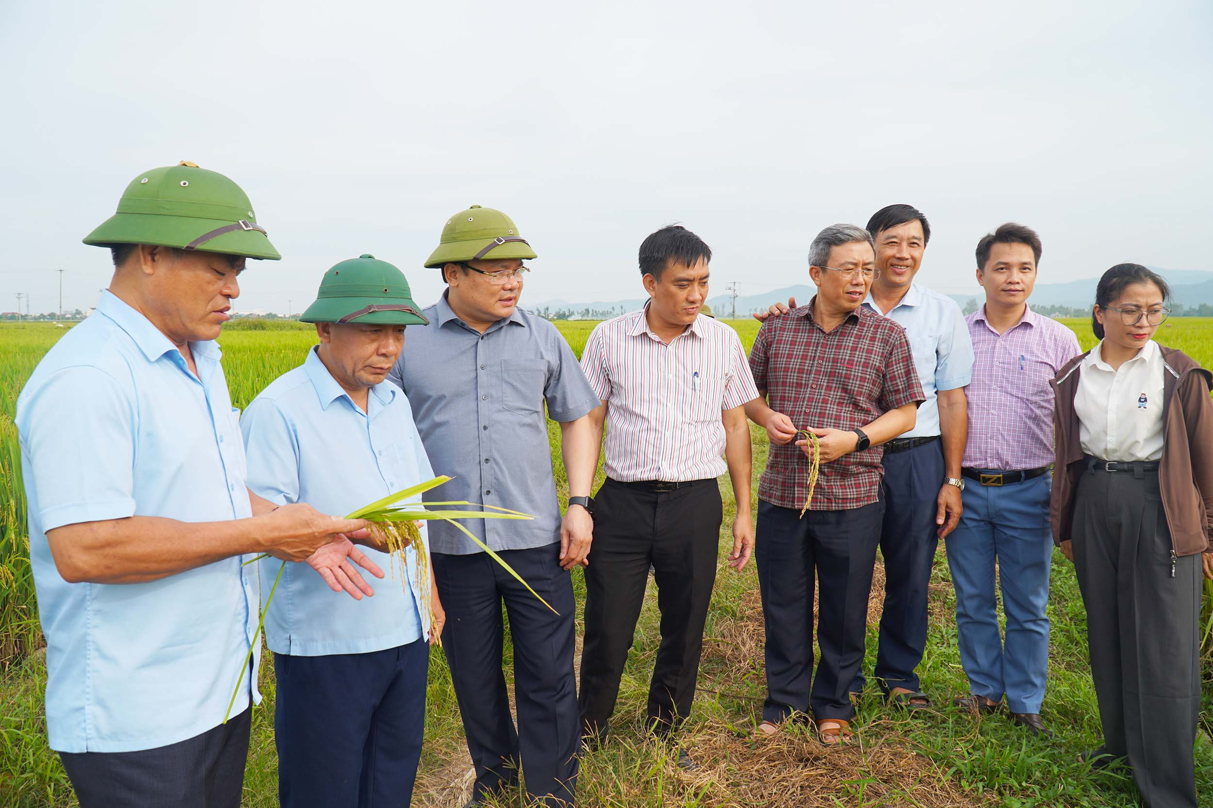  Đoàn công tác kiểm tra tình hình thu hoạch lúa hè thu tại xã Diễn Tân (Diễn Châu). Ảnh- Phú Hương