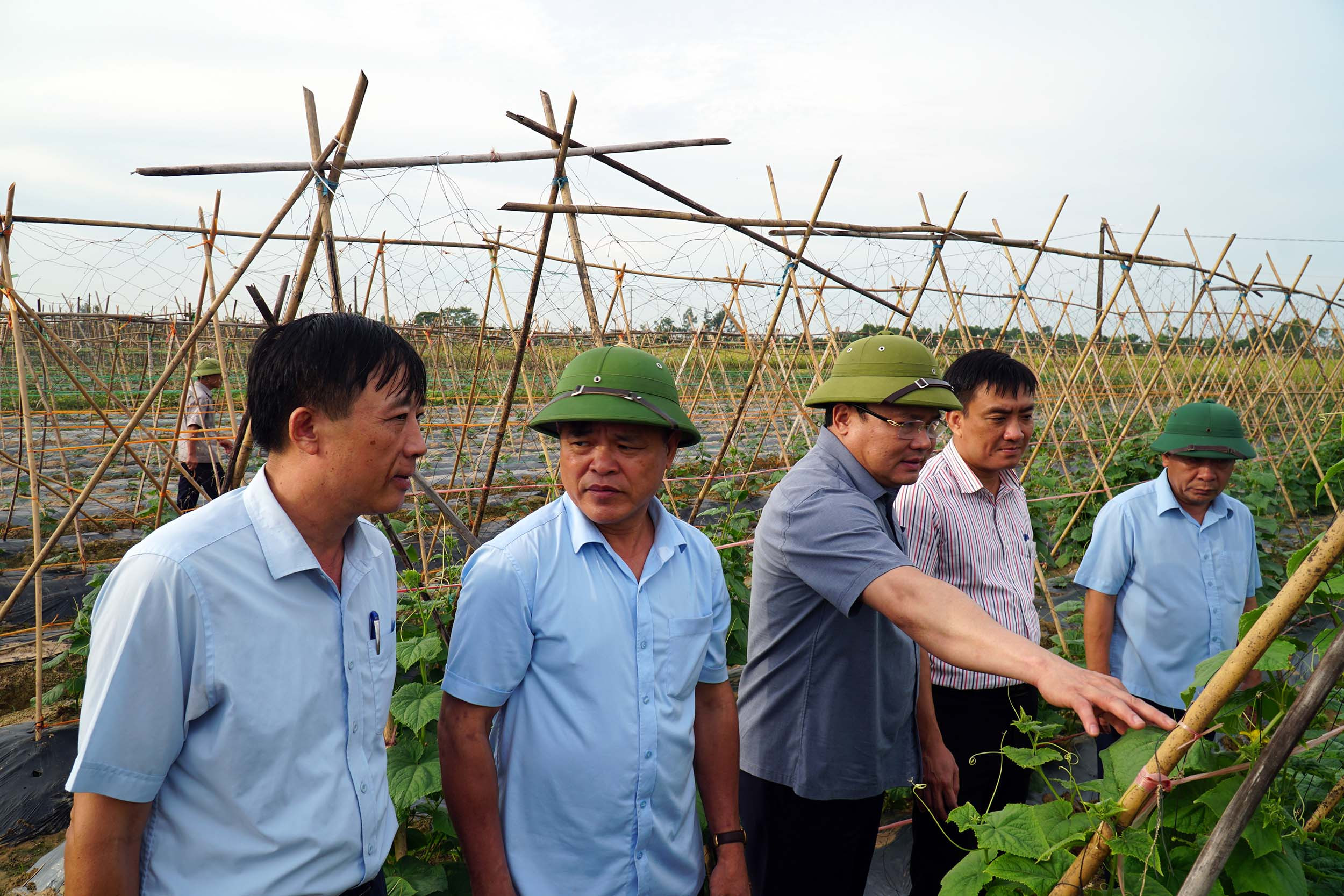  Đồng chí Nguyễn Văn Đệ kiểm tra mô hình chuyển đổi cơ cấu cây trồng trên đất lúa tại xã Diễn Lộc (Diễn Châu). Ảnh- Phú Hương