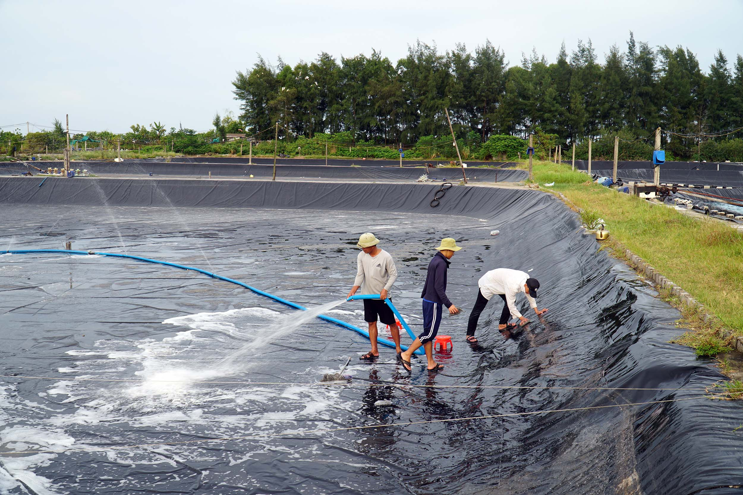  Người dân Diễn Châu chuẩn bị ao đầm thả tôm. Ảnh- Phú Hương