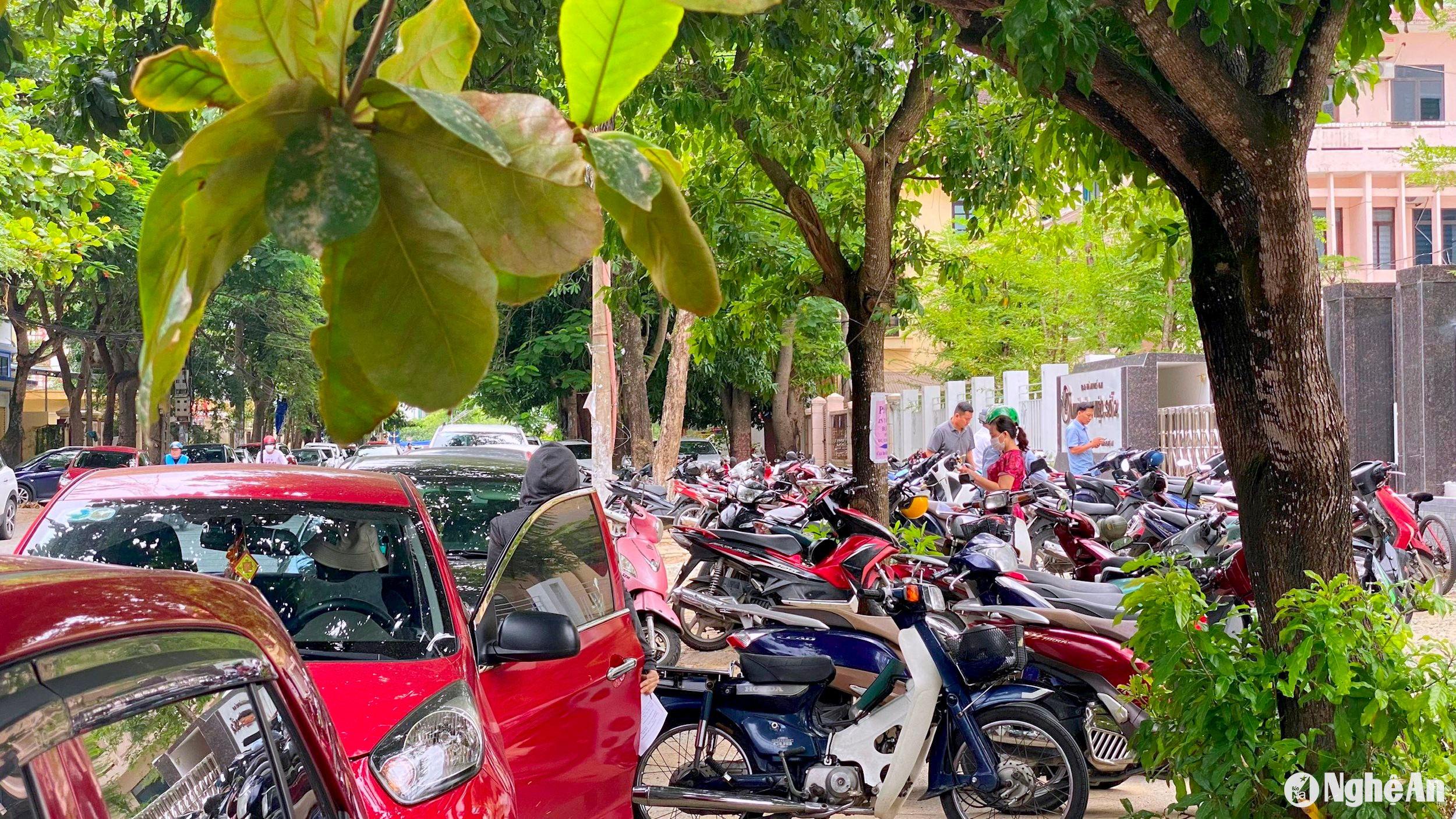 Ô tô, xe máy dựng kín lòng đường, vỉa hè đường Đinh Công Tráng, trước khu vực Nhà làm việc số 2 TP. Vinh. Ảnh: Q. A