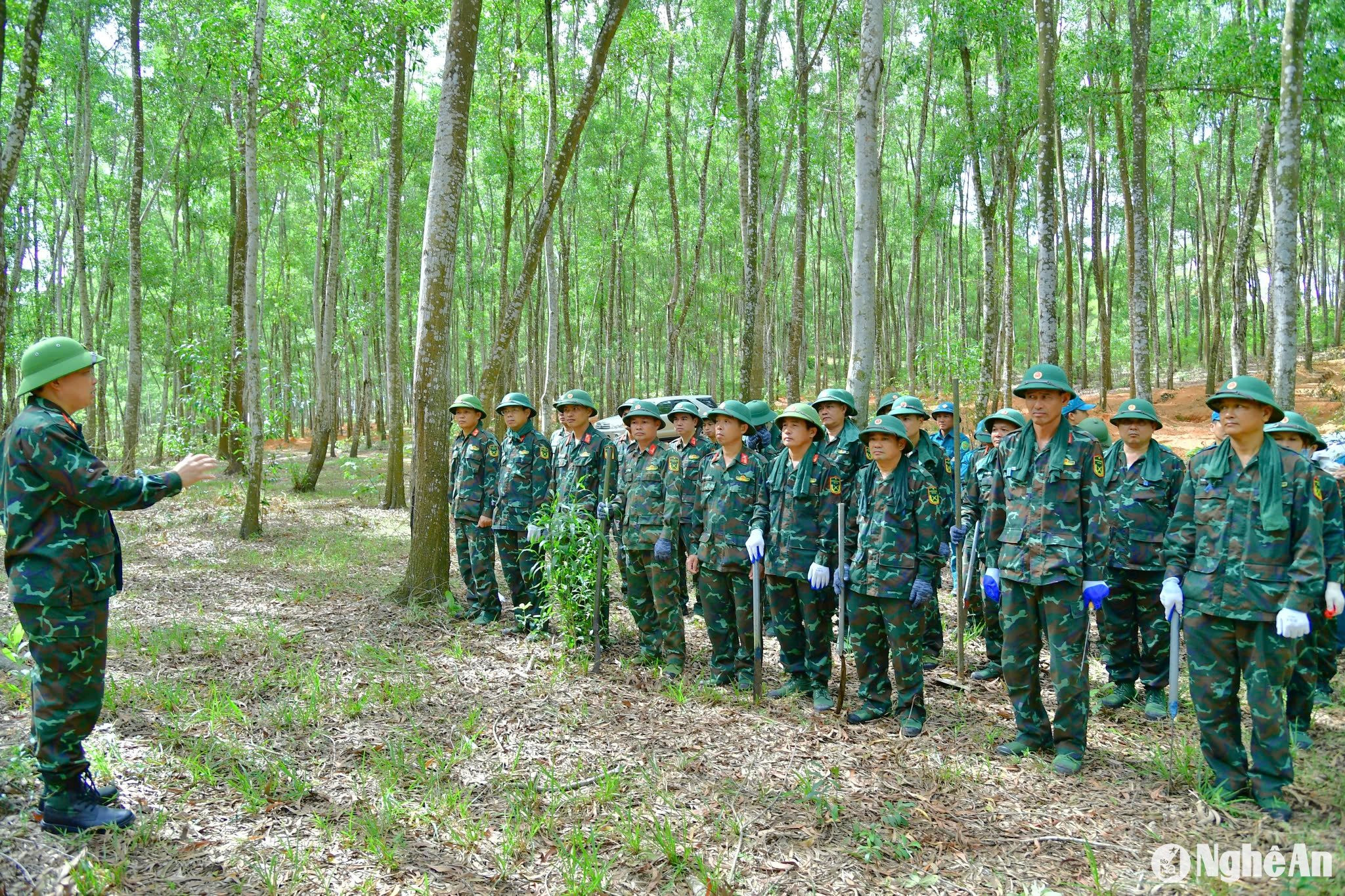 Ảnh Thành Chung