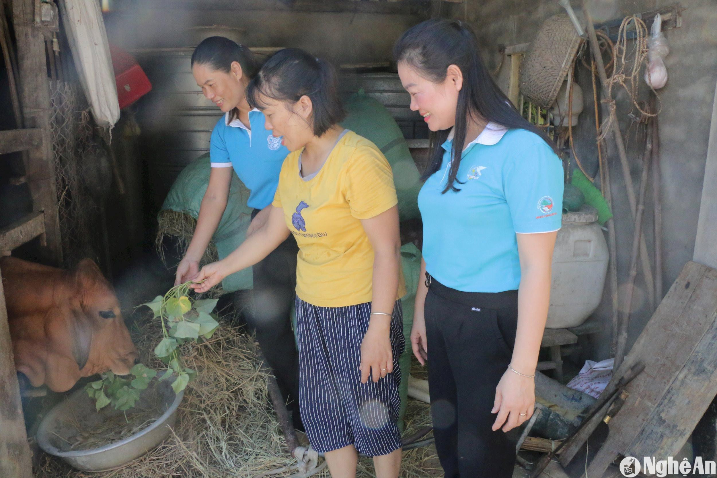 can-bo-hoi-lhpn-xa-quynh-doi-tham-ho-chi-vu-thi-hang-o-xom-6-da-duoc-hoi-ho-tro-vay-von-va-tang-mo-hinh-sinh-ke.jpg