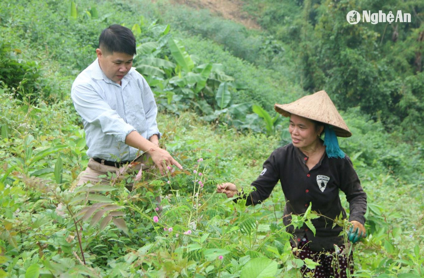 can-bo-nong-nghiep-xa-yen-tinh-huong-dan-nguoi-dan-cach-thu-hai-che-day.jpg