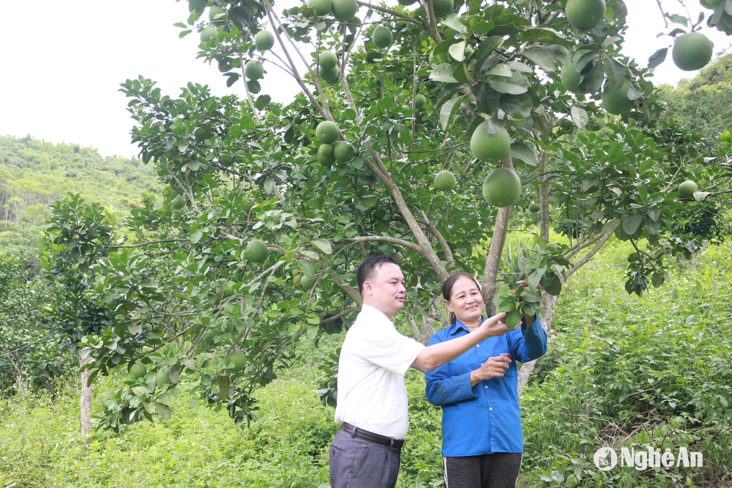 Toàn cảnh buổi làm việc của Chủ tịch UBND tỉnh Nguyễn Đức Trung cùng lãnh đạo các sở, ban, ngành với lãnh đạo huyện Tương Dương. Ảnh tư liệu: Phạm Bằng