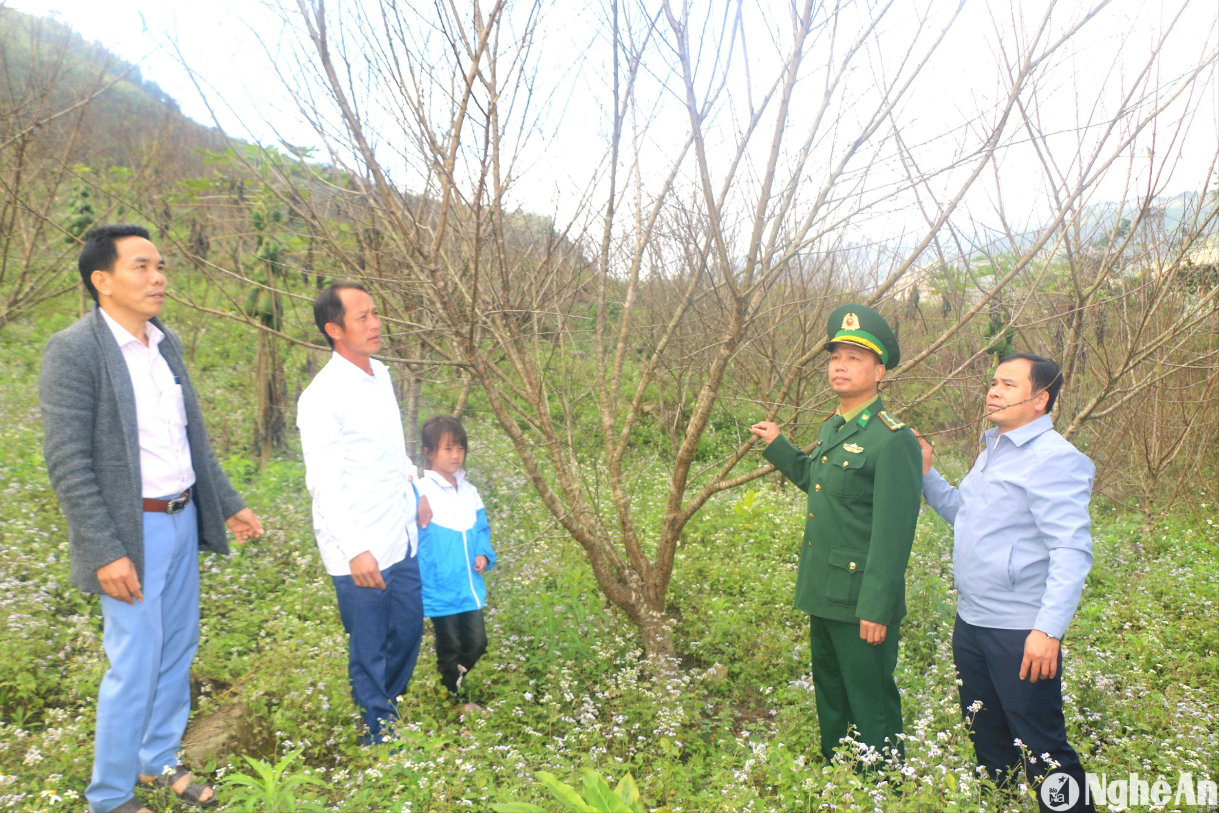 truong-ban-tham-tham-xa-nhon-mai-tuong-duong-va-ba-ca-trao-doi-kinh-nghiem-trong-dao.anh-kl.jpg