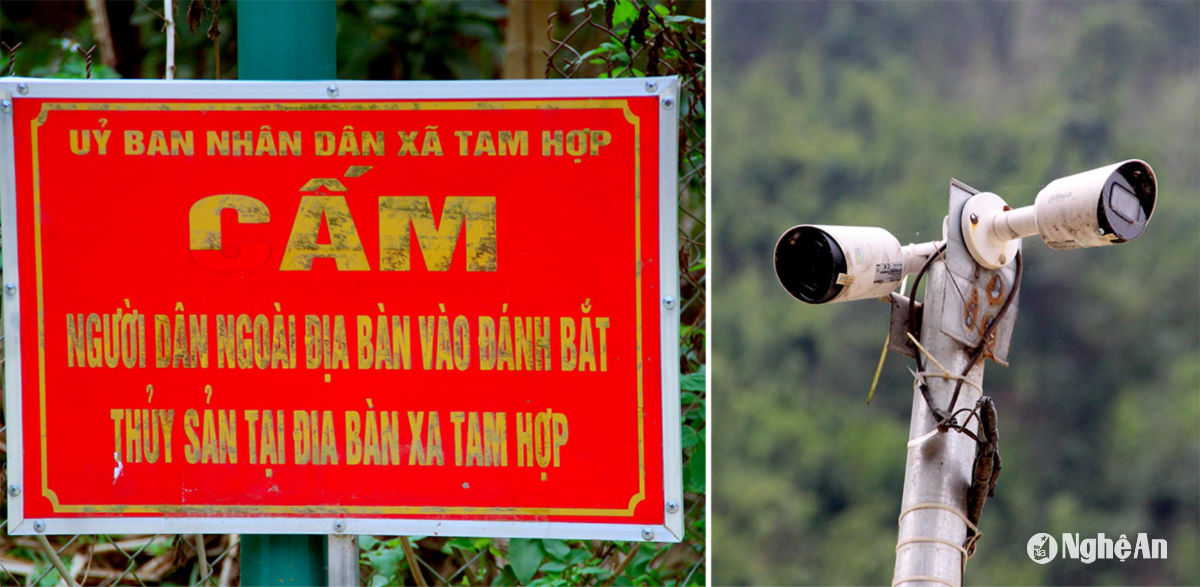 xa-tam-hop-lap-dat-camera-tren-mot-so-doan-khe-de-theo-doi-dong-thoi-cam-bien-cam-danh-bat-ca-mat.-anh-quang-an.png