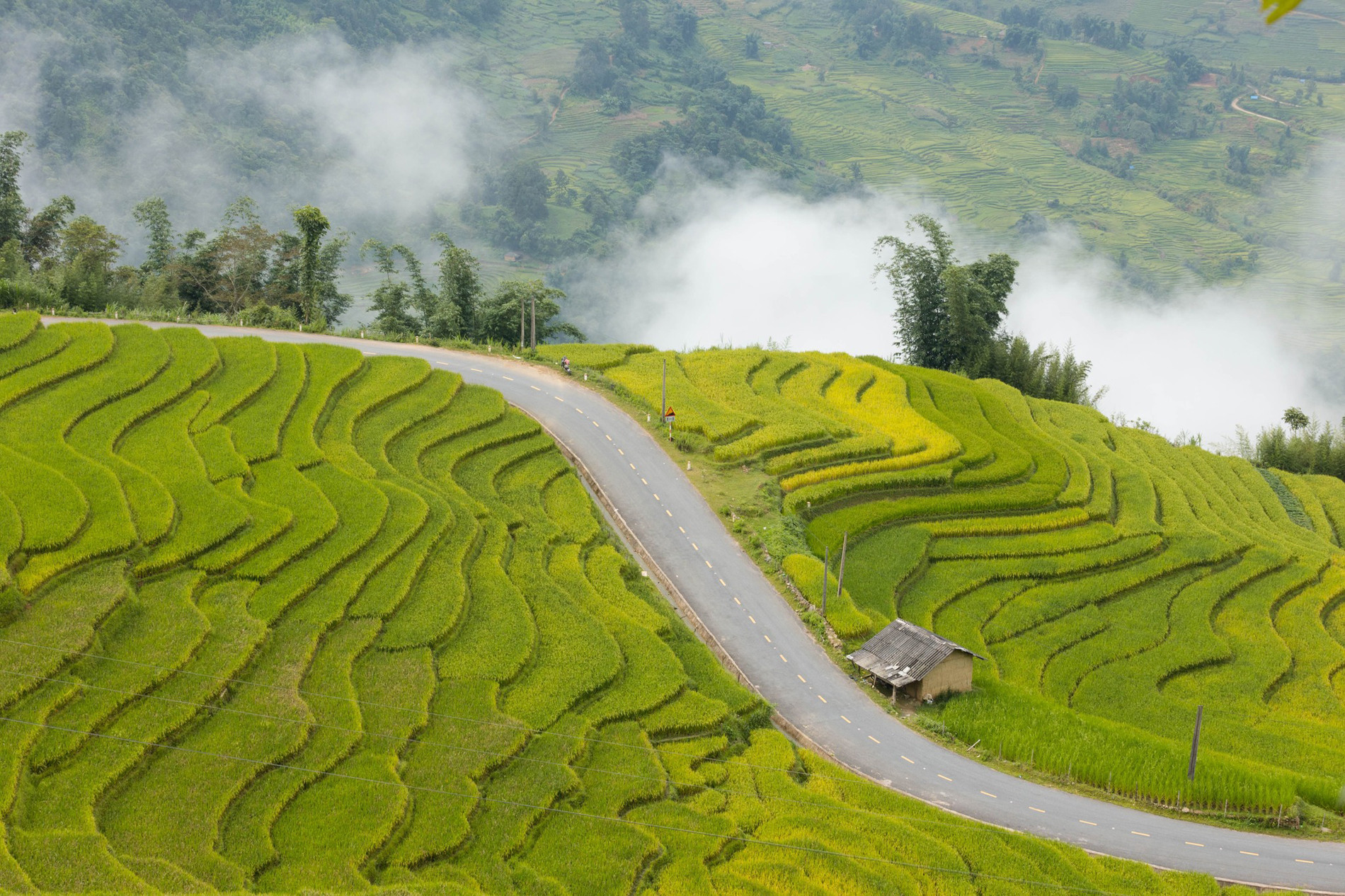 cung duong Lao Cai 0.jpg