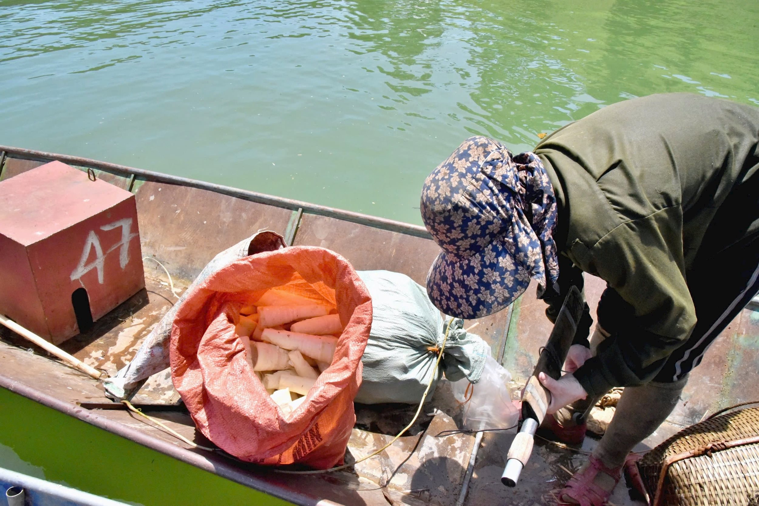 Ông Lương Văn Thương, Phó Bí thư Đảng uỷ xã Đồng Văn cho biết: “Mùa măng kéo dài chỉ hơn 2 tháng, song đem lại thu nhập đáng kể cho người dân xã Đồng Văn. Vào rộ mùa măng, trung bình mỗi ngày, 1 người kiếm được 300-500.000 đồng. Mỗi vụ măng, có hộ thu nhập 30-50 triệu đồng. Cây măng là lâm sản phụ, là sinh kế cho đồng bào nơi đây”.