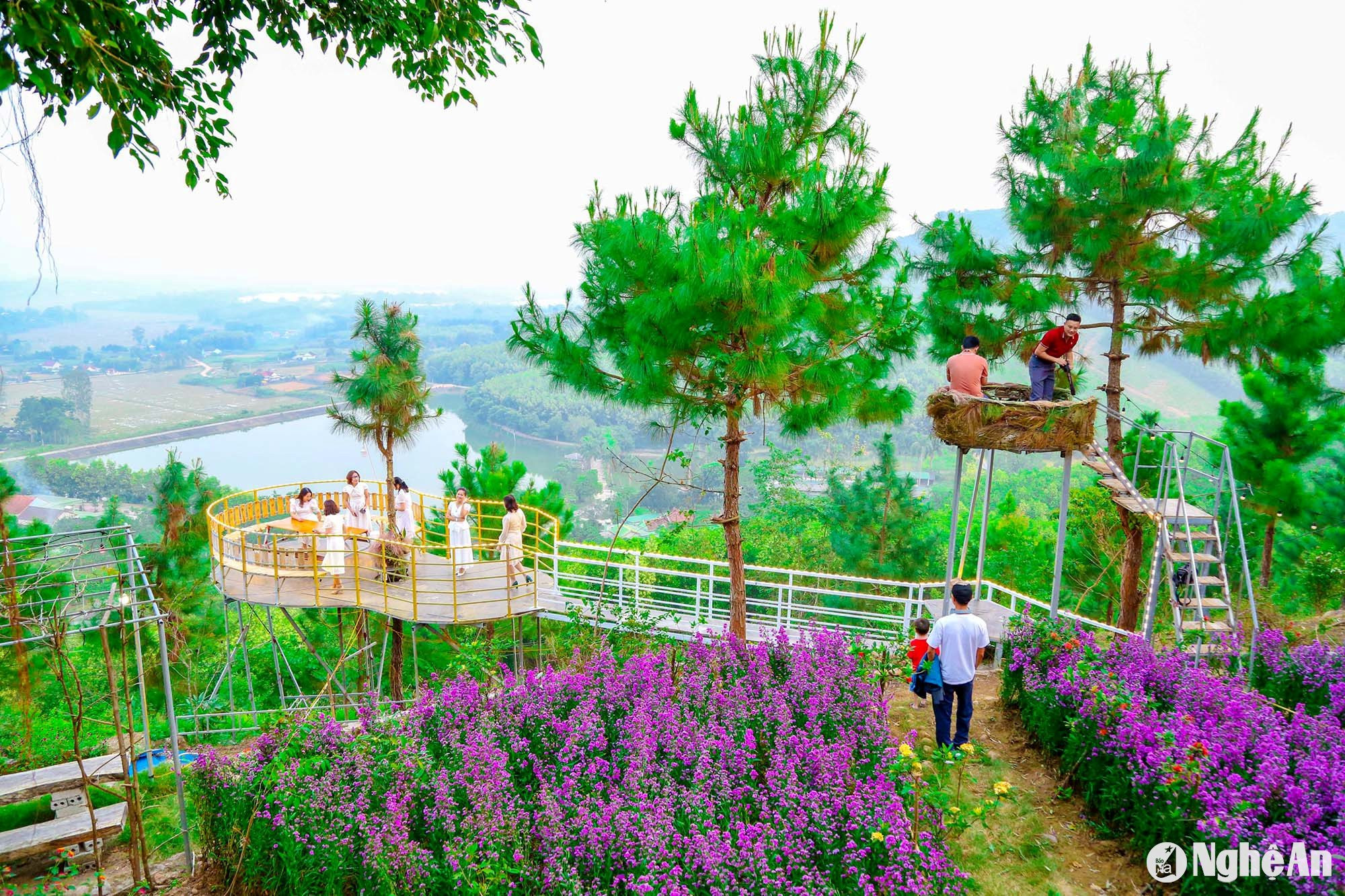 Điểm du lịch Trang Gia Farm (Nghĩa Đàn). Ảnh: Đình Tuyên