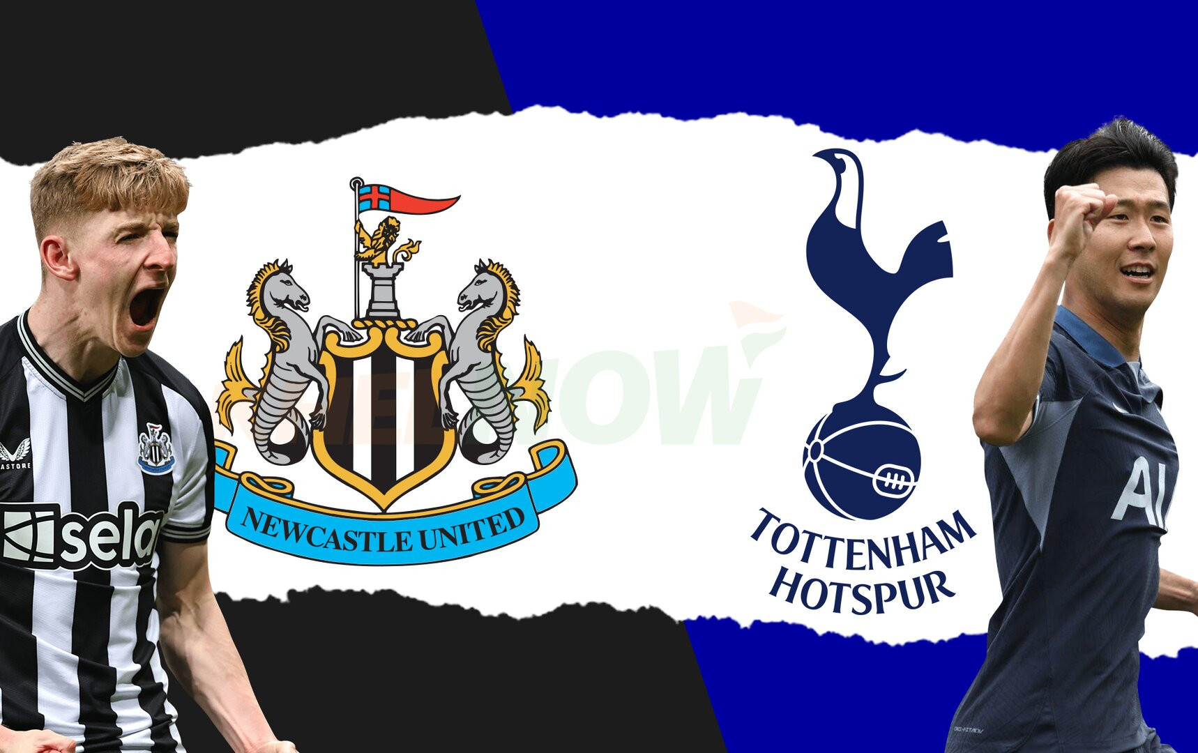 Newcastle vs Tottenham: Predicted lineup, betting tips, odds, injury news, head-to-head, telecast