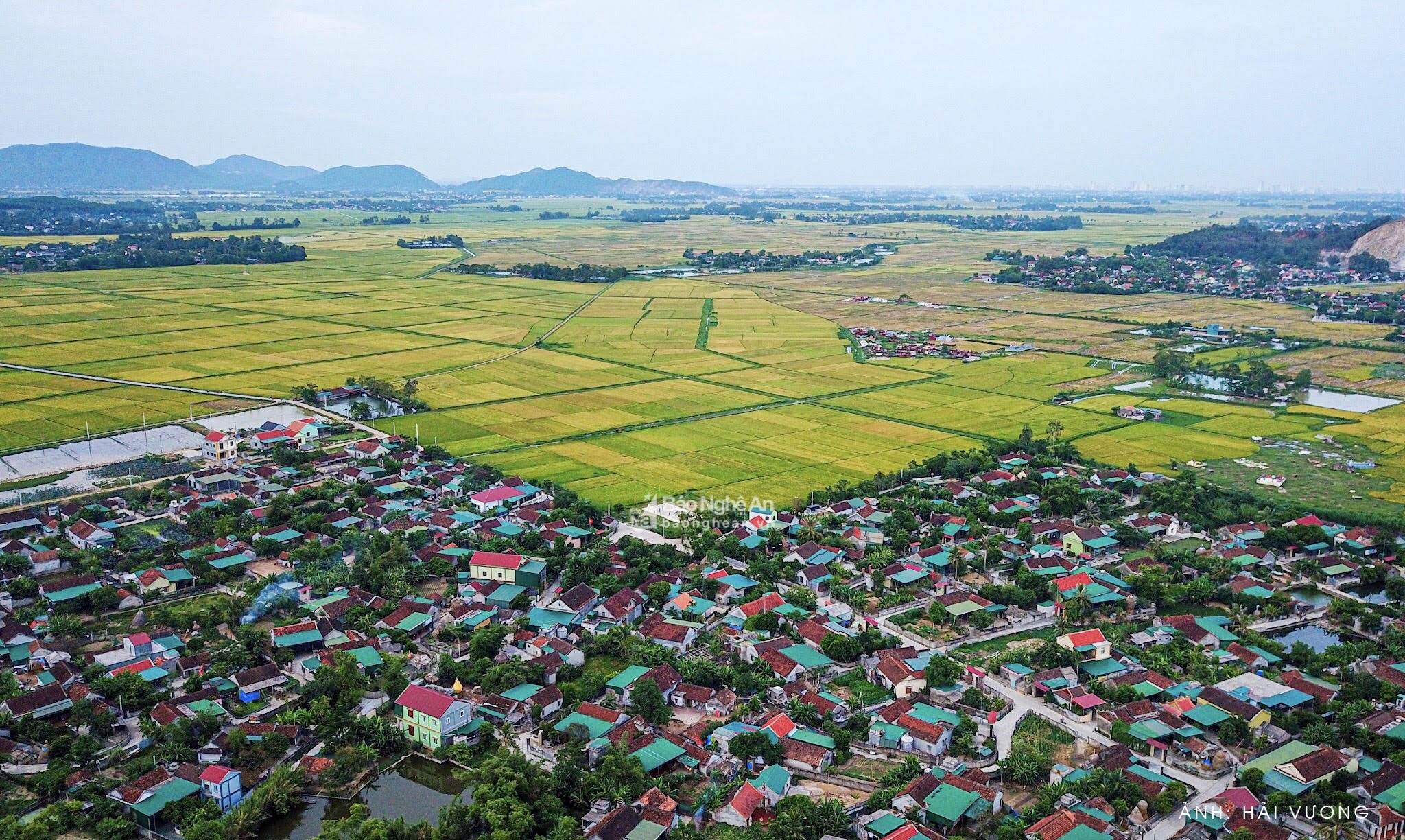 Khí thế mới trên quê hương Nam Đàn 