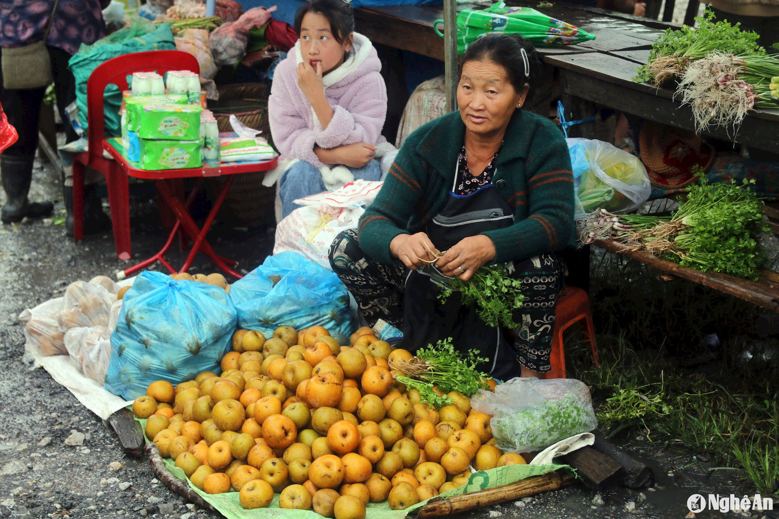 Những quả mắc cọp (lê rừng) được bày bán nhiều ở chợ. Với đặc điểm thanh ngọt, lại đang vào mùa thu hoạch nên với giá bán 15 nghìn đồng mỗi kg