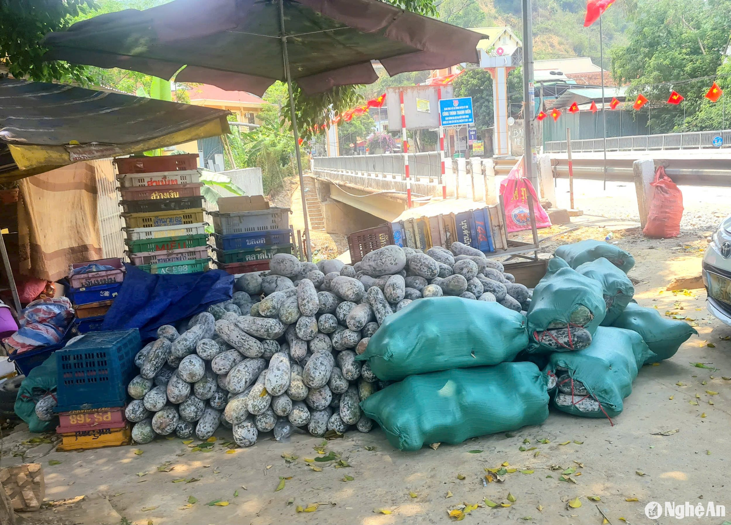 nông sản vùng cao