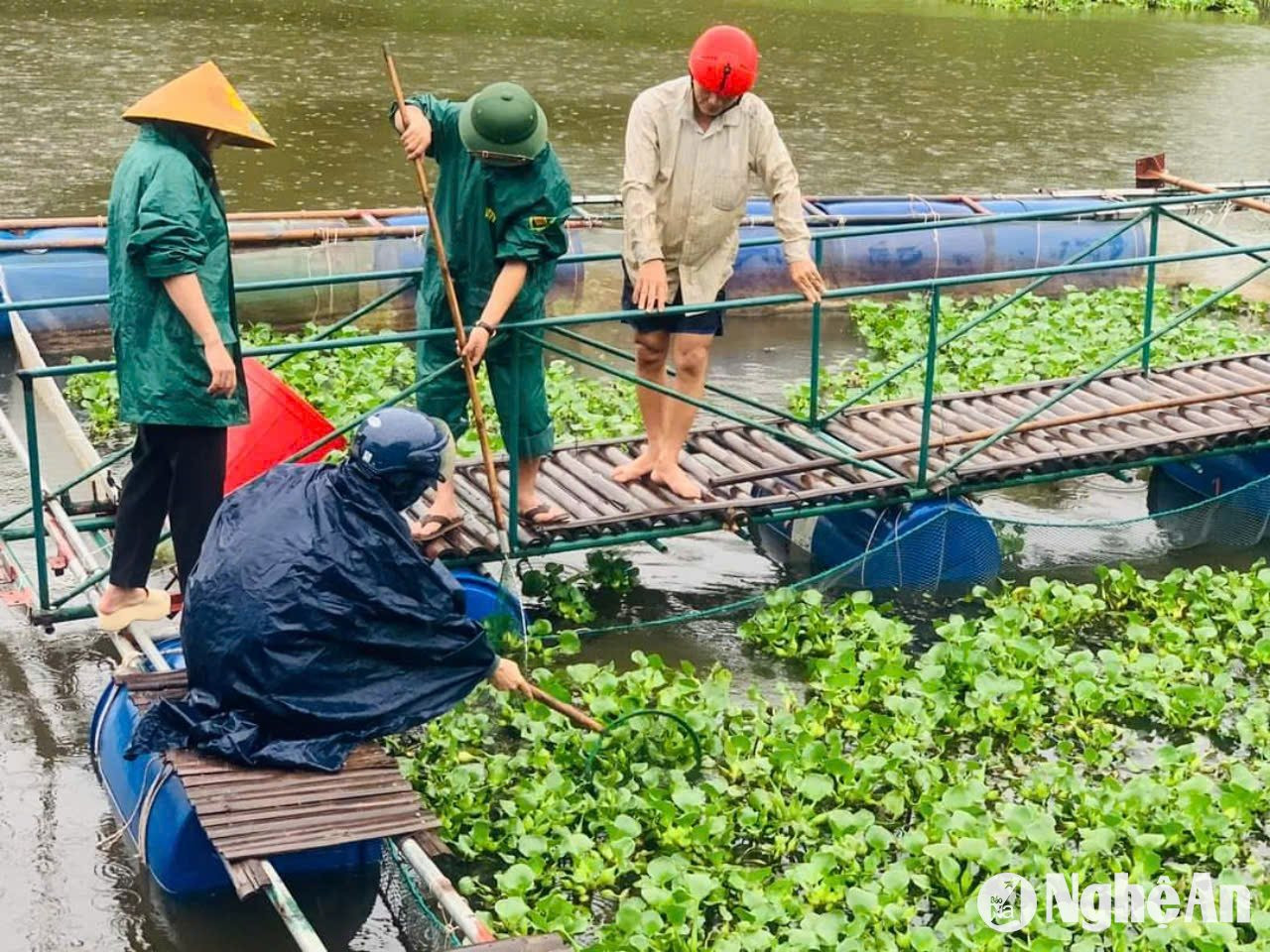 Gia cố lồng bè nuôi trồng thuỷ sản. Ảnh: H.T