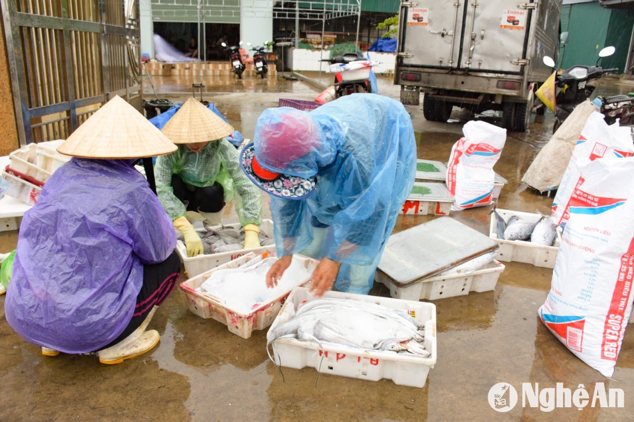 Ngư dân hối hả tiêu thụ số cá còn lại để kịp về nhà tránh bão.