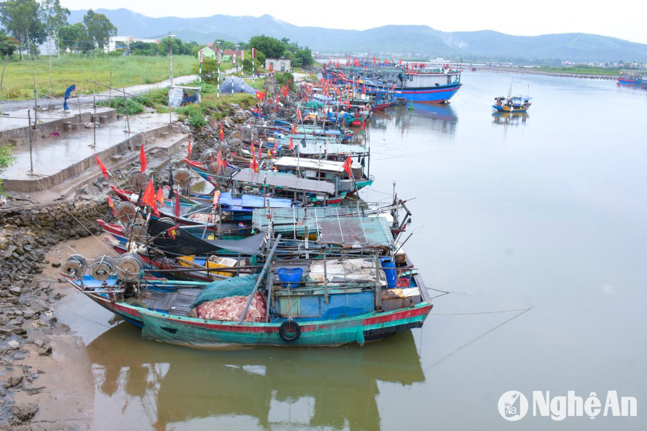 Hiện nay, toàn bộ tàu thuyền của người dân các địa phương ven biển đã vào bờ tránh trú bão số 3. Trong ảnh: Khu neo đậu tàu thuyền tại cảng cá Quỳnh Lập sáng 7/9. Ảnh: T.P