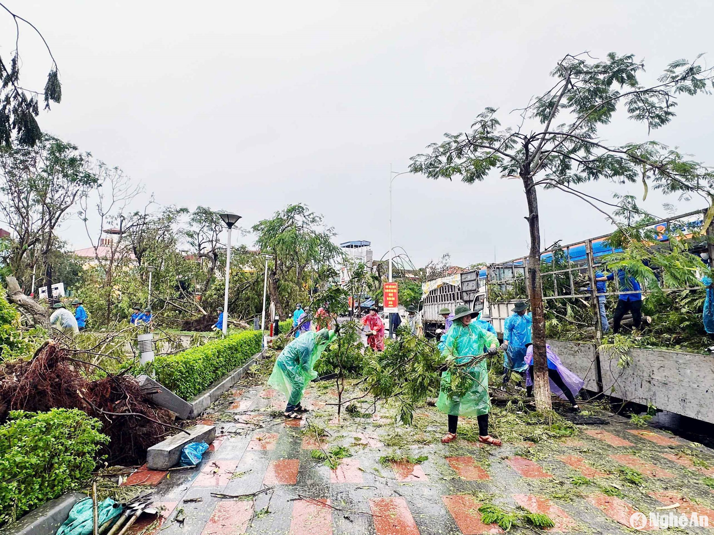 Ghi nhận sáng nay của Đội hình tình nguyện thì hiện tại thành phố Hải Phòng rất ngổn ngang sau bão. Nhiều cây xanh, cột điện, biển quảng cáo trên các tuyến phố bị đổ gãy; nhiều nhà mái tôn bị tốc mái, cửa kính nhà dân bị bung vỡ. Ngay khi tiếp cận được thành phố, các thanh niên tình nguyện Nghệ An đã bỏ qua những mệt mỏi sau một đêm di chuyển mà bắt tay ngay vào việc hỗ trợ khắc phục hậu quả bão số 3. Ảnh: Thành Tân