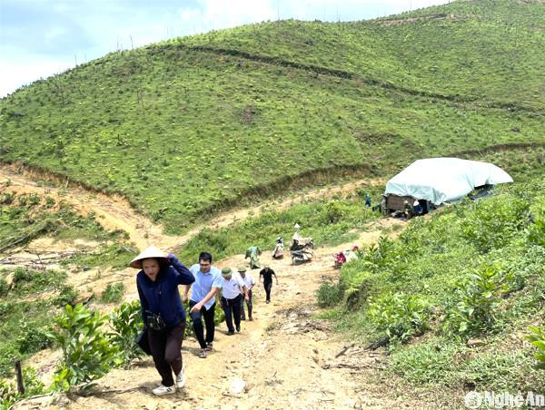 to-cong-tac-lien-nganh-huyen-quy-hop-den-thuc-dia-do-dac-lam-lai-bia-dat-cho-2-ho-gia-dinh-o-ban-nguong-xa-chau-cuong-sau-khi-hoa-giai-thanh-cong.-anh-ngoc-tu2.jpg