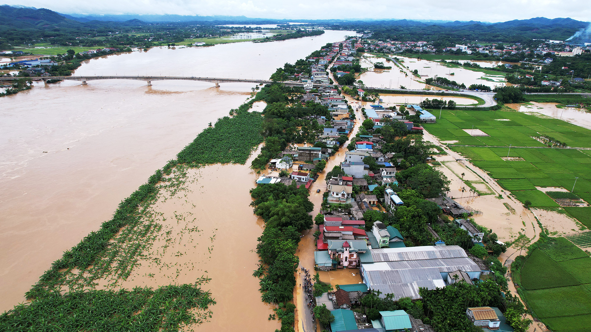 hạ hoà 1.jpg