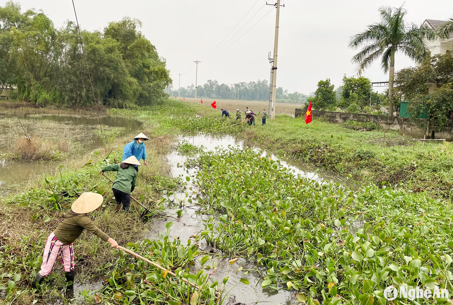 vụ Đông