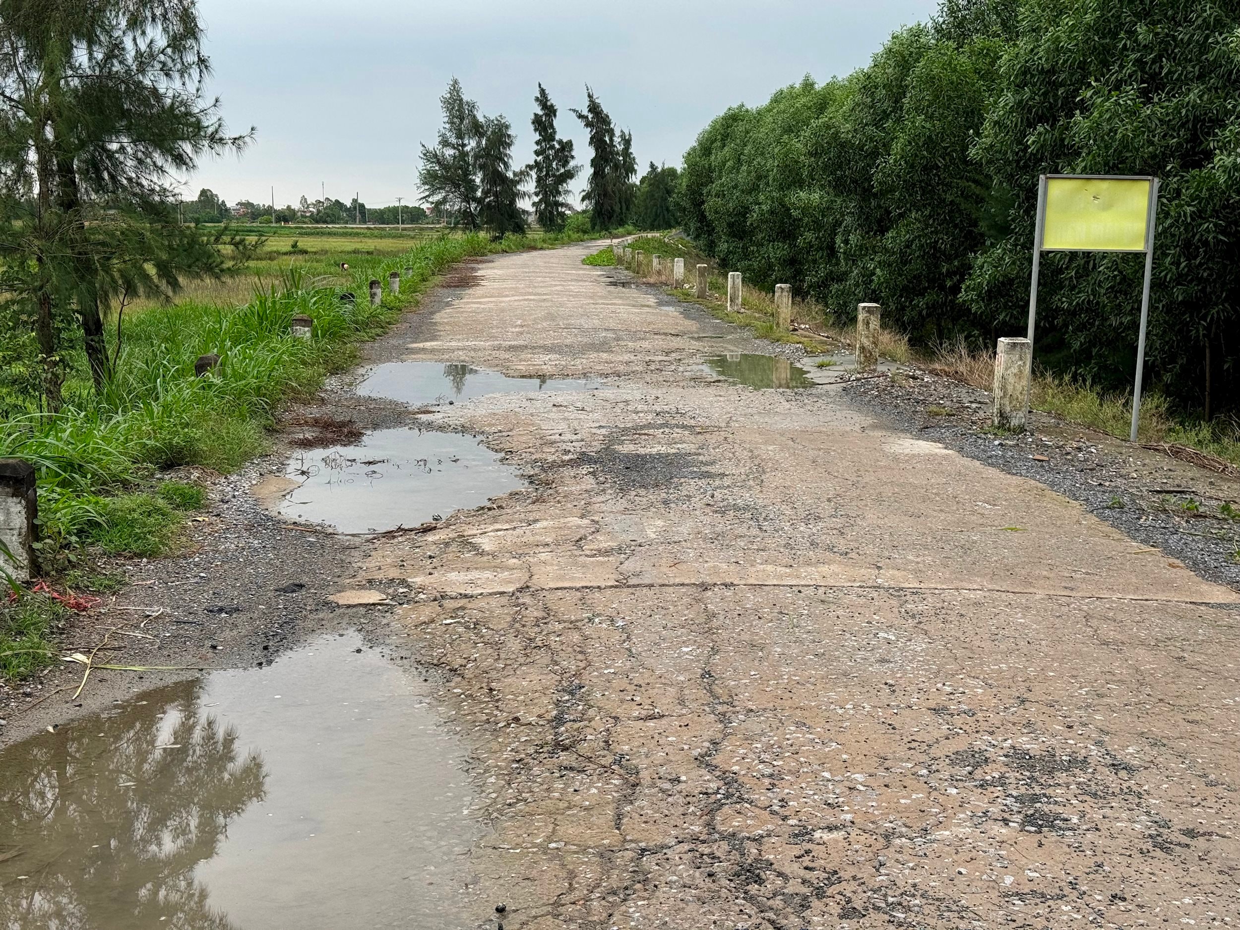 Một số đoạn mặt đê biển qua địa bàn xã Diễn Hùng (Diễn Châu) đã xuất hiện vết nứt và nghiêng nên nguy cơ bị sạt lở cao nếu có bão lớn và nước biển dâng. Ảnh Nguyễn Hải 