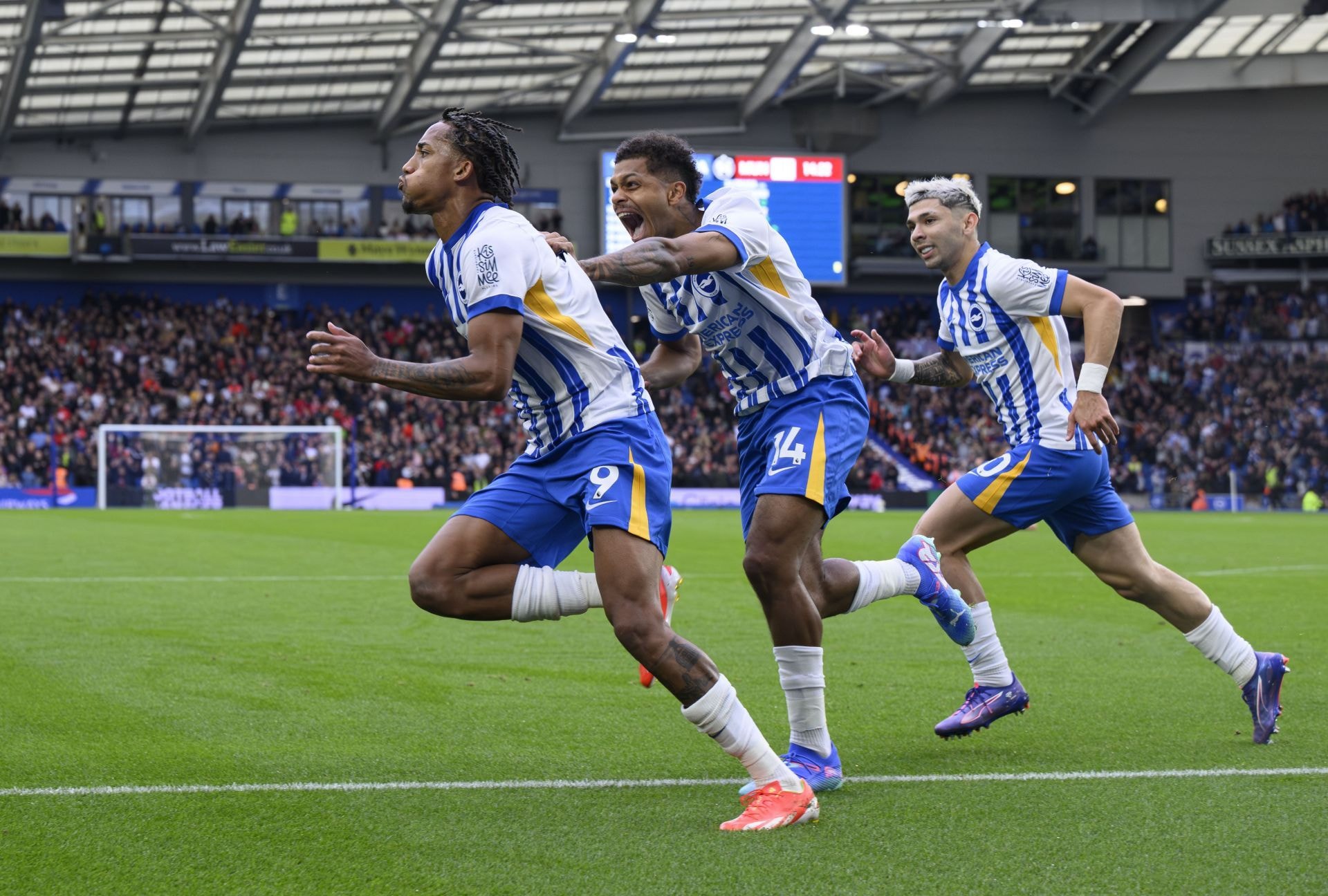 Brighton & Hove Albion vs Ipswich Town Prediction and Betting Tips | September 14th 2024