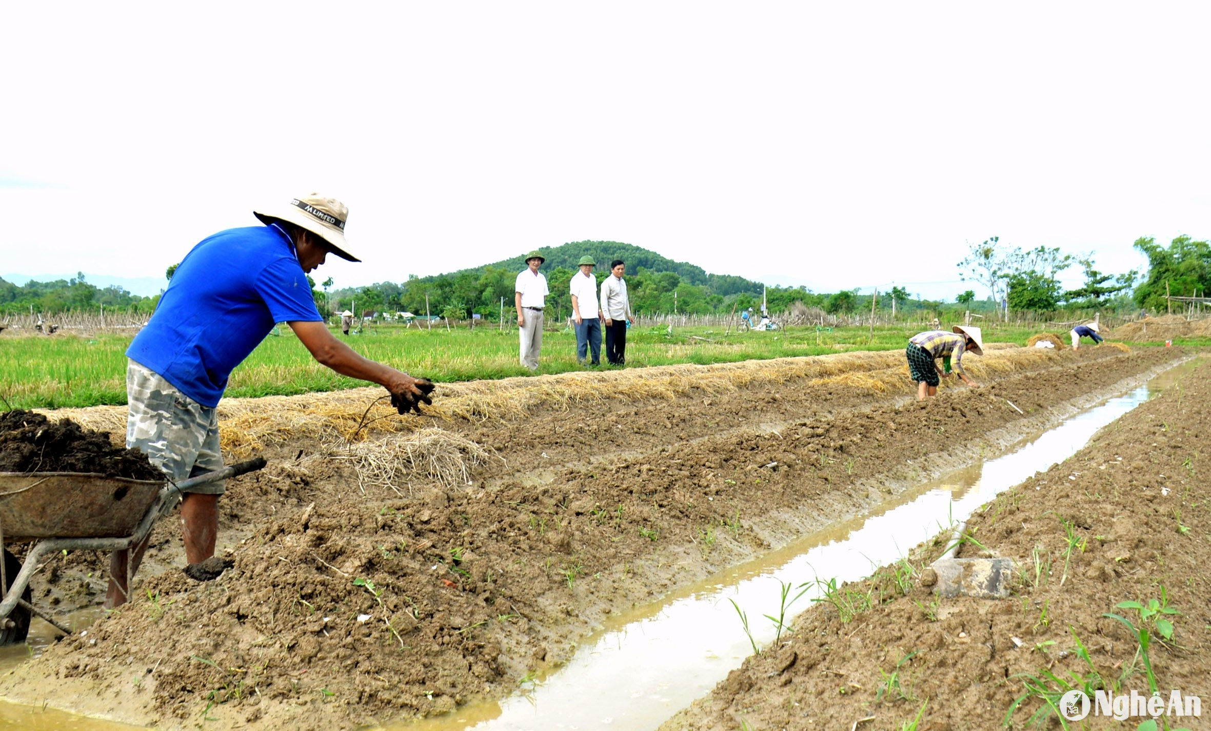 Những ngày thời tiết khô ráo, bà con nông dân các xã: Lưu Sơn, Bắc Sơn, Tràng Sơn, Thượng Sơn, Hoà Sơn... của huyện Đô Lương nhộn nhịp ra đồng tăng tốc sản xuất cây vụ đông. Bà con cho biết, năm nào cũng vậy, nhờ chọn các loại rau, củ, quả có giá trị cao đưa vào gieo trồng, nên vụ đông cho thu nhập cao hơn. Trong ảnh: Bà con nông dân xã Lưu Sơn triển khai trồng vụ đông trong sáng 13/9. Ảnh: Xuân Hoàng