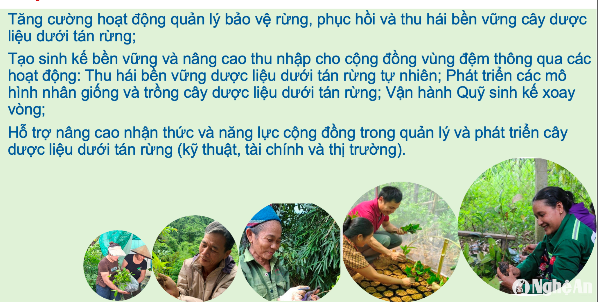 muc-tieu-cua-du-an(1).png