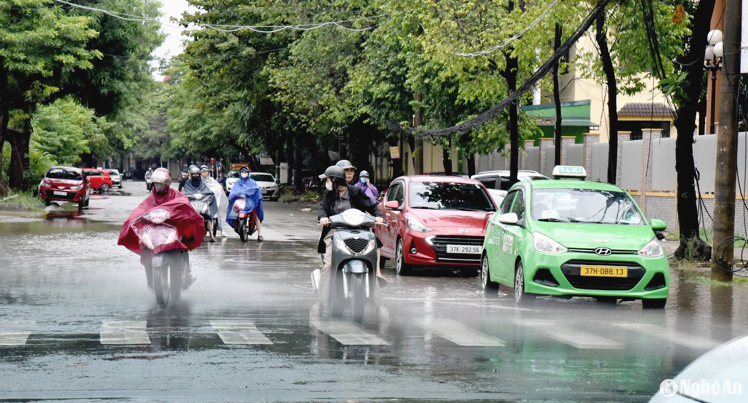 Đầu đường Ngư Hải đoạn giao nhau với đường Quang Trung ngập nhẹ 3282