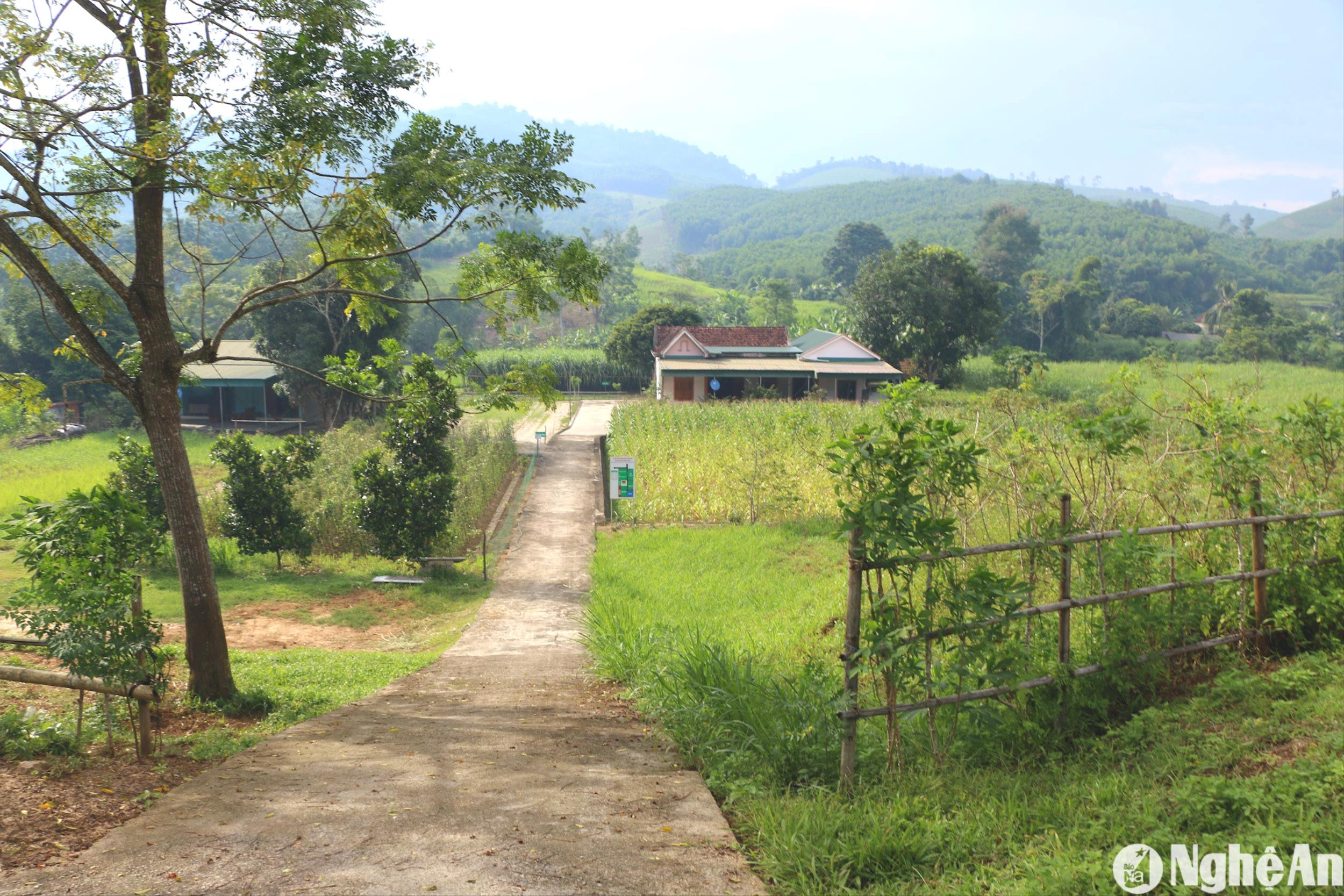 duong-be-tong-noi-vao-tan-nha-dan-o-thon-hai-lam-xa-muong-noc.jpg