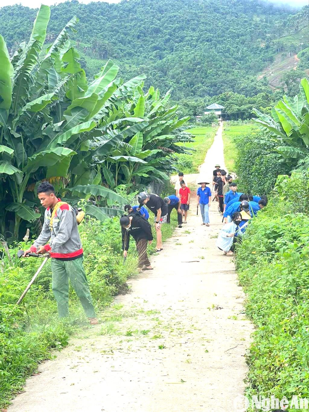 luc-luong-doan-vien-thanh-nien-phat-quang-ve-sinh-moi-truong-tuyen-duong-dau-cau-treo-xa-muong-noc.jpg