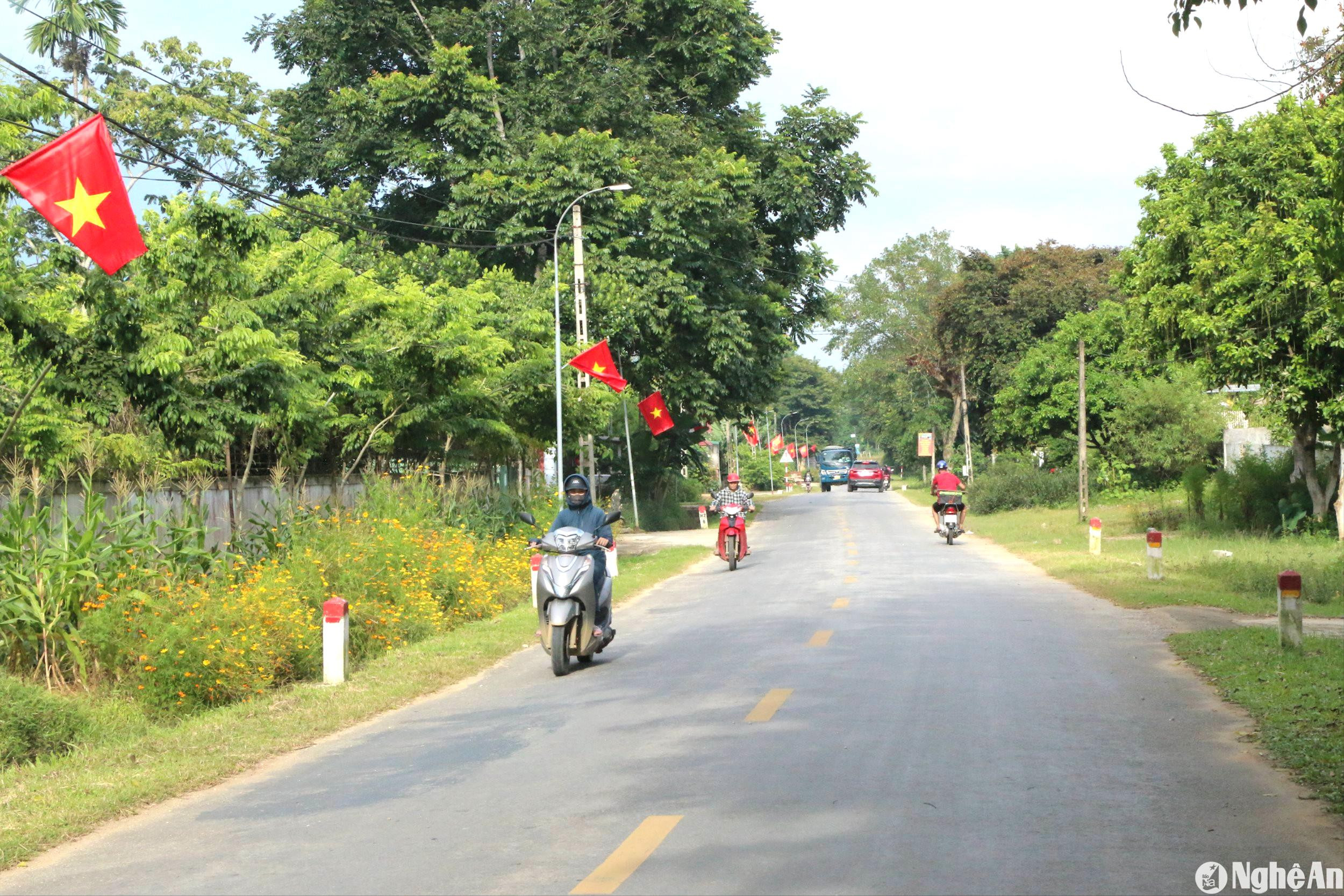 nguoi-dan-cac-thon-xom-o-xa-muong-noc-tu-dong-gop-kinh-phi-lap-cac-cot-den-duong-chieu-sang-gan-co-to-quoc-.jpg