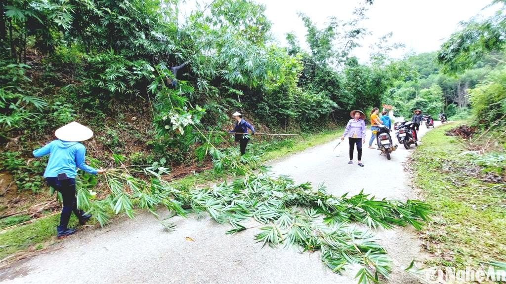 nhan-dan-ban-dai-ra-quan-phat-quang-tren-tuyen-duong-ban-phu-trach-quan-ly-1-.jpg