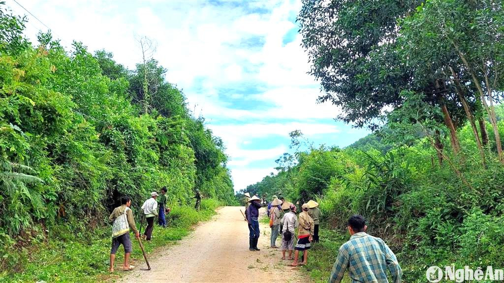 nhan-dan-ban-na-ca-phat-quang-tuyen-duong-ban-duoc-giao-quan-ly.jpg