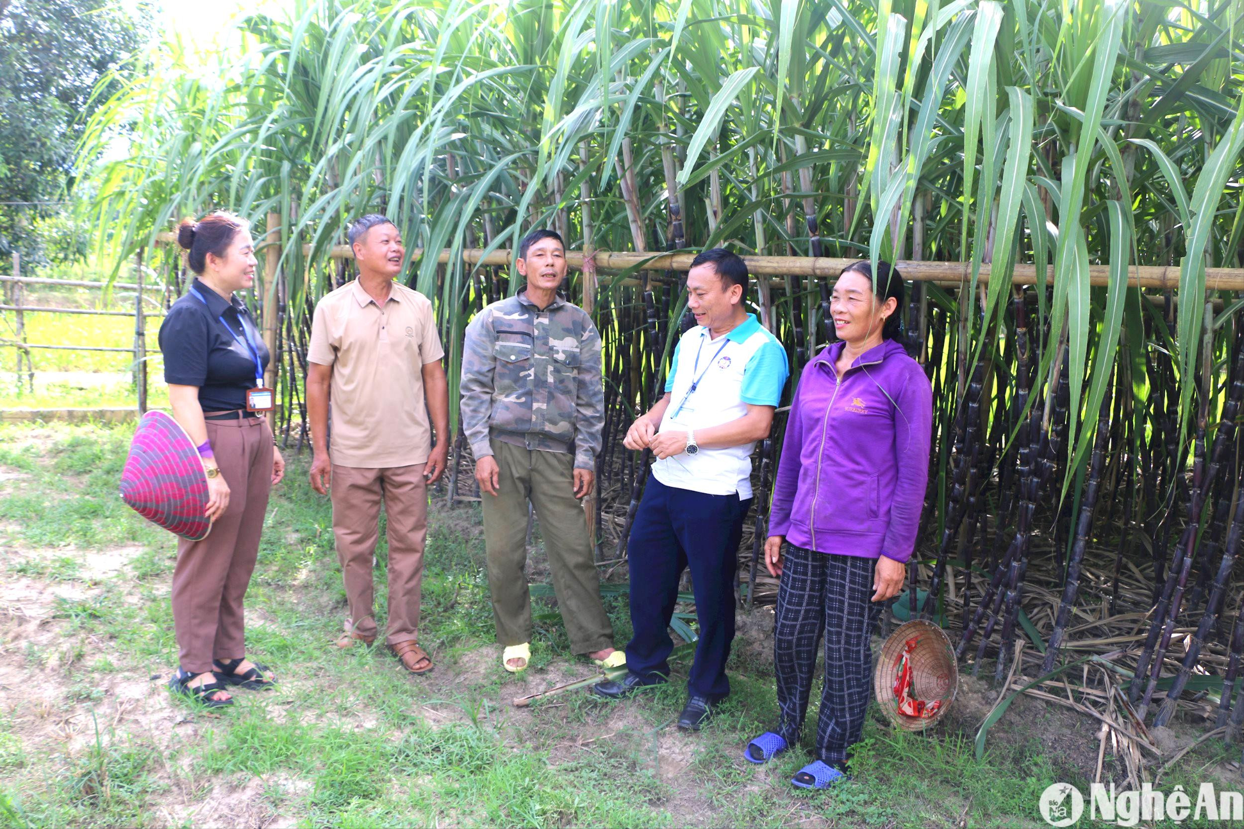 ong-nguyen-dinh-chieu-giua-thon-hai-lam-chia-se-voi-lanh-dao-xa-muong-noc-ve-su-thuan-loi-trong-tieu-thu-nong-san-khi-co-he-thong-duong-giao-thong-thong-thoang-s.jpg