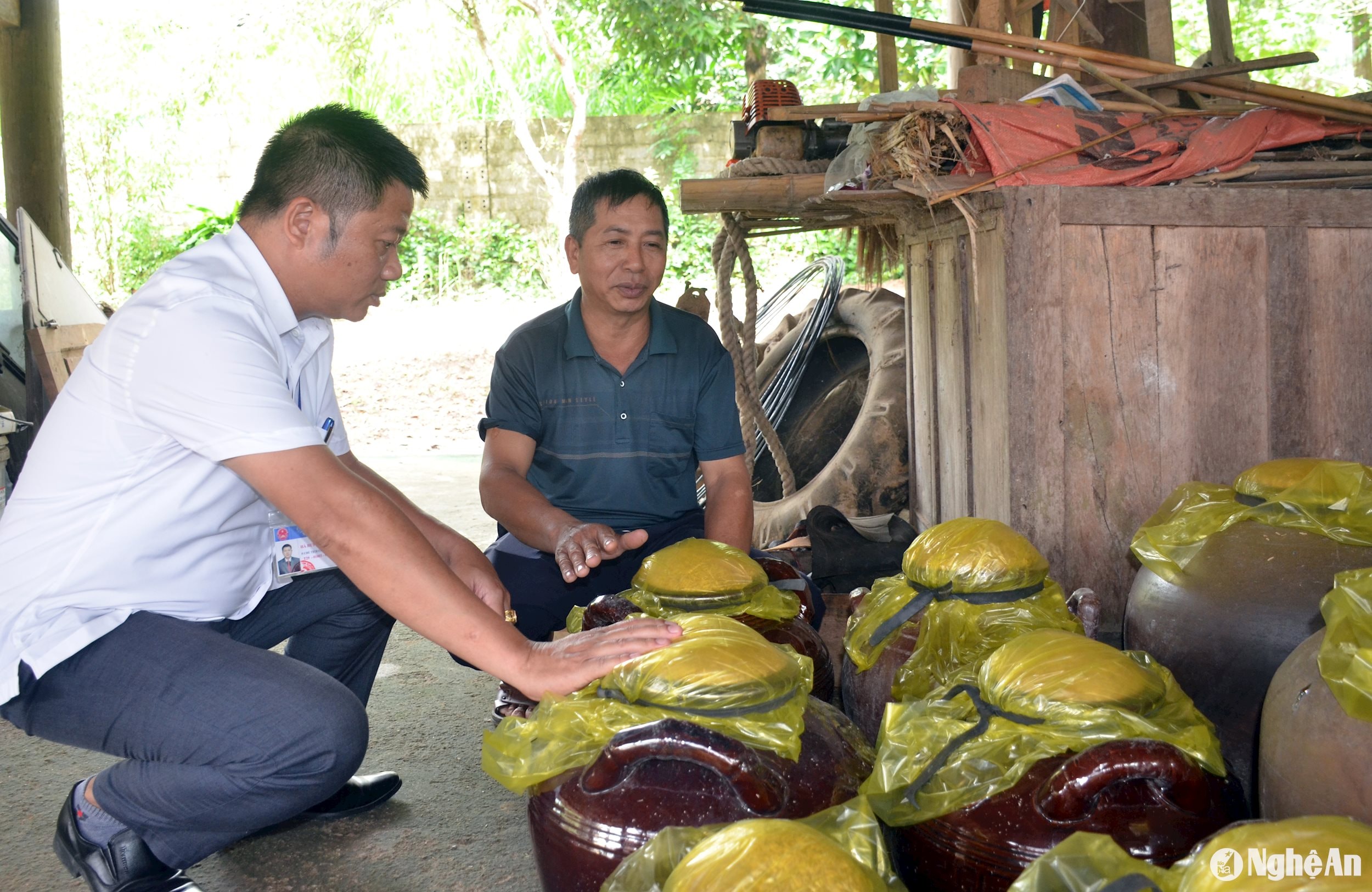 Ảnh Thành Chung (1)