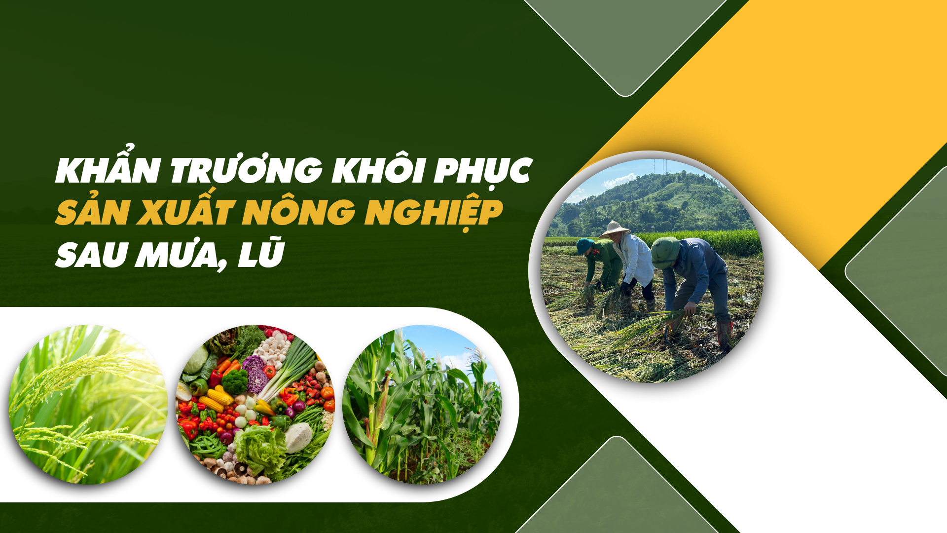 KHẨN TRƯƠNG KHẮC PHỤC HẬU QUẢ BÃO LŨ, NHANH CHÓNG ỔN ĐỊNH ĐỜI SỐNG NHÂN DÂN, TÍCH CỰC KHÔI PHỤC SẢN XUẤT KINH DOANH, THÚC ĐẨY TĂNG TRƯỞNG KINH TẾ, KIỂM SOÁT LẠM PHÁT- Ảnh 6.