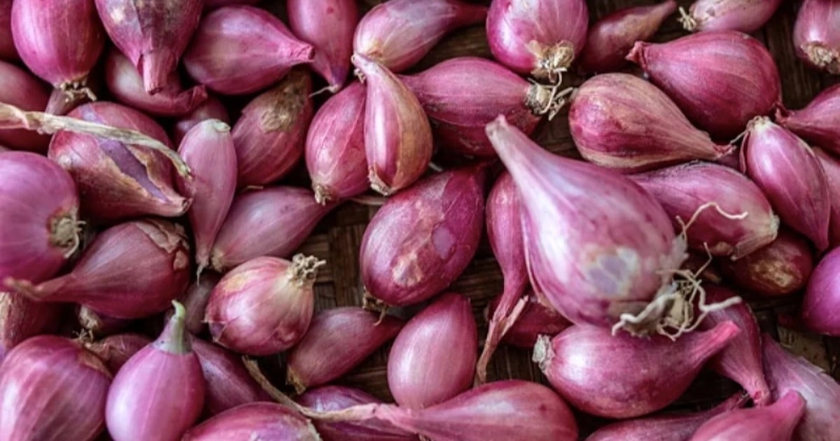Bất ngờ với công dụng của hành tím với sức khỏe