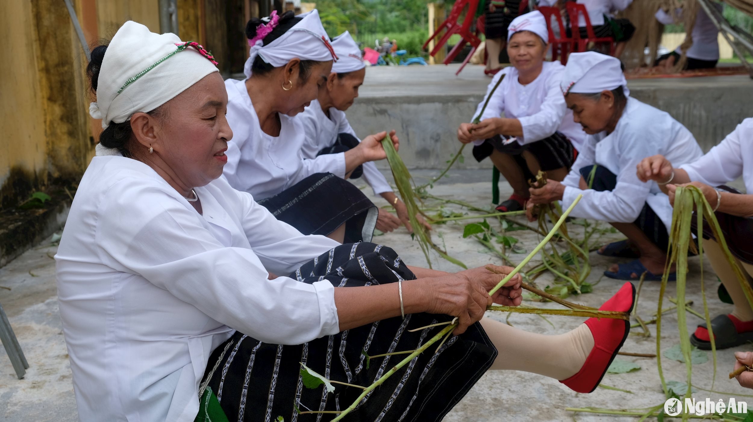 Cây gai sau khi được thu hoạch sẽ được tuốt, rửa, phơi nắng và bảo quản cẩn thận. Ảnh: Mỹ Hà