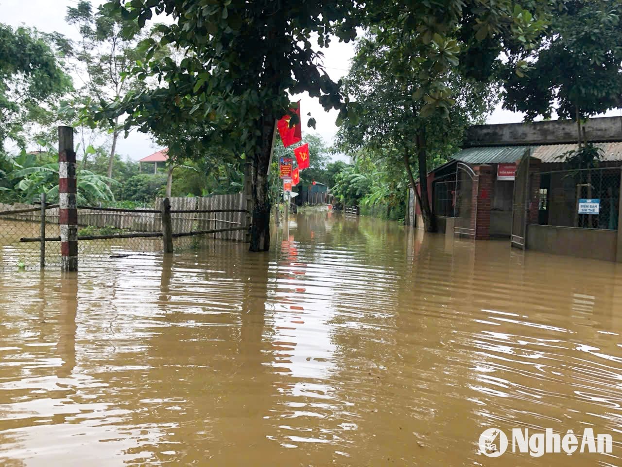  Nước vây quanh các hộ dân ở xóm Đông Thọ. Ảnh: T.P