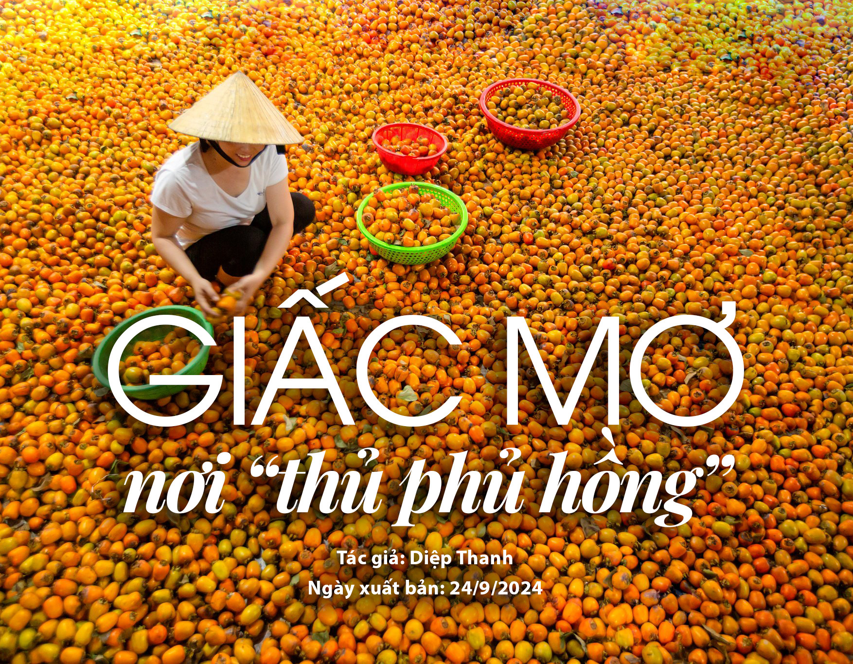 cover hồng nam anh