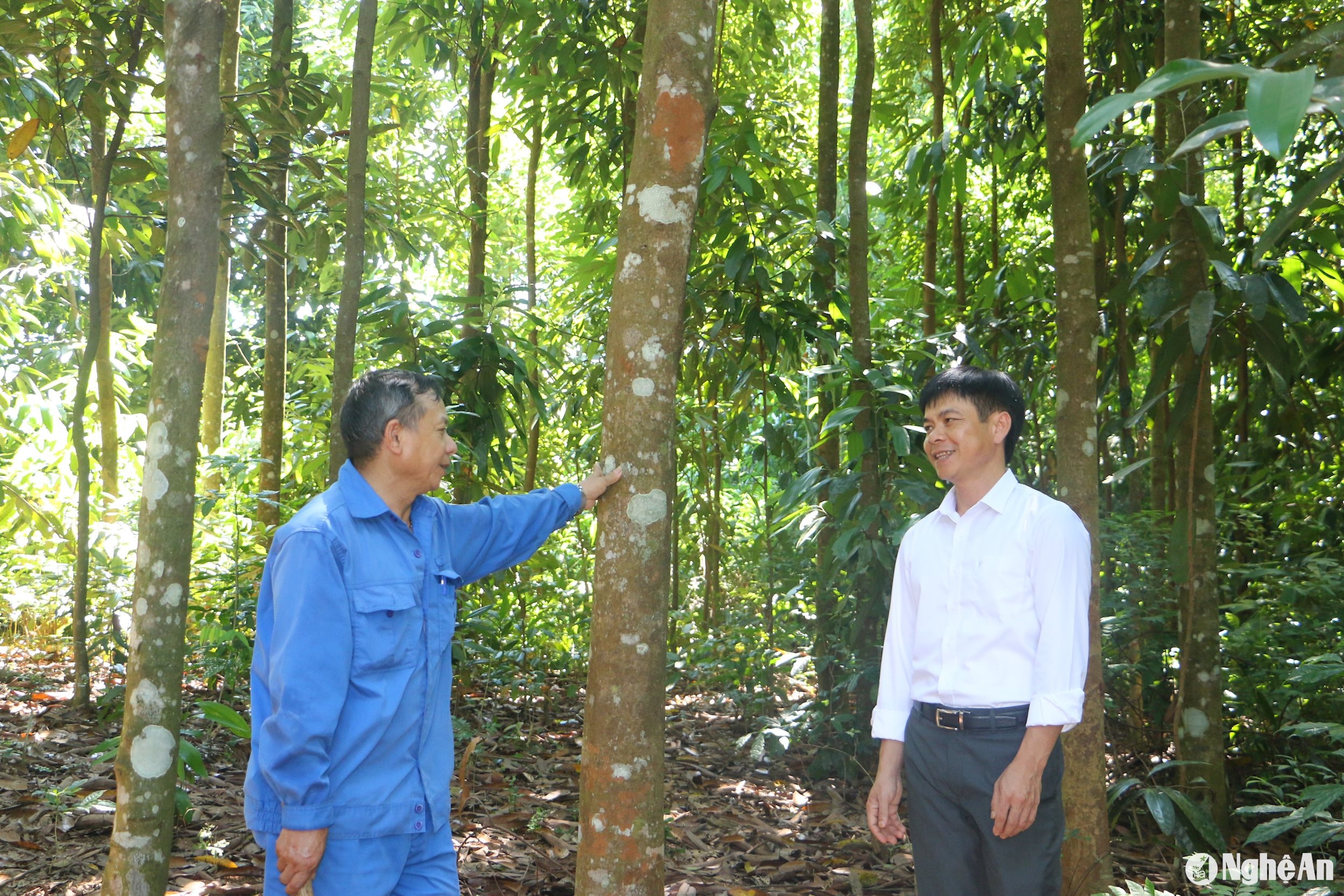 Đồng chí Sầm Văn Hùng - Phó Bí thư Đảng ủy xã Tiền Phong trao đổi với Bí thư Chi bộ thôn Lâm Trường về vai trò nêu gương của đảng viên trong phát triển kinh tế. Ảnh: Quỳnh An